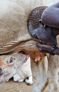 top-destinations-in-south-sudan